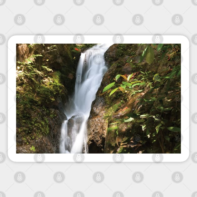 Ton Sai Waterfall Sticker by Kat C.